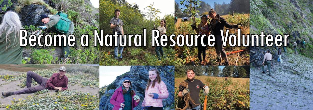 NR volunteer